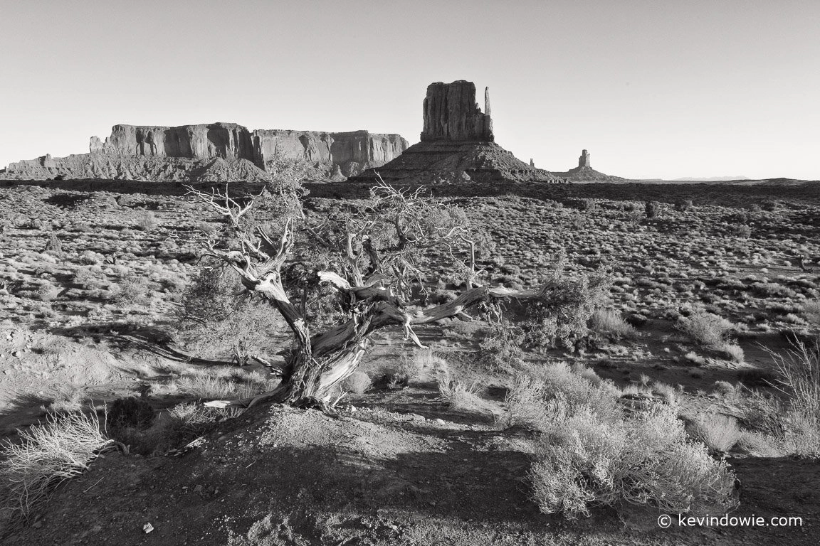 monochrome desert