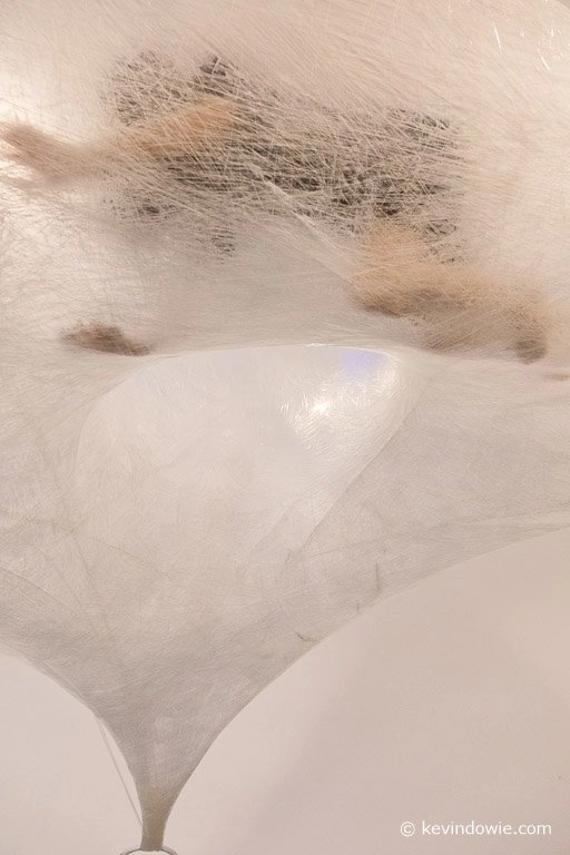 inside a plastic cocoon