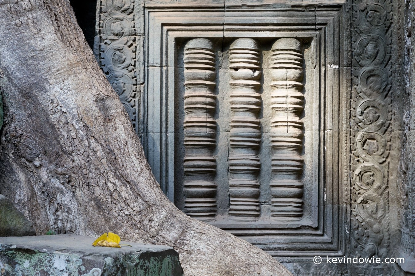 The yellow leaf, Ta Phrom