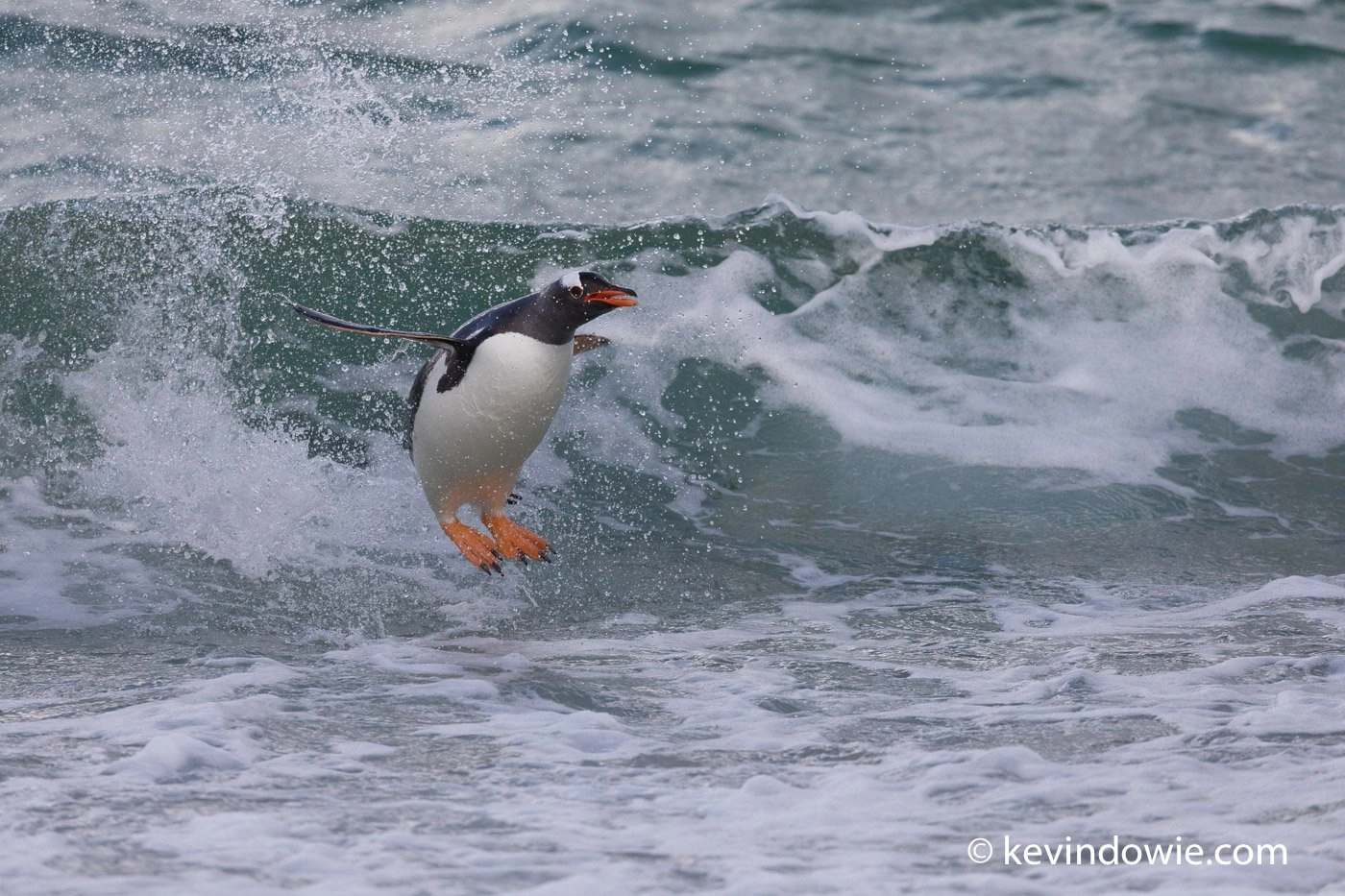Feet forward for landing